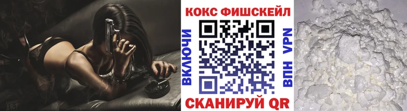 КОКАИН Fish Scale  Купить где  Алзамай 