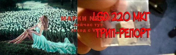 ешки Магадан