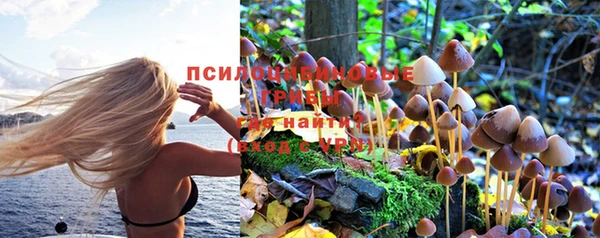 эйфоретик Медвежьегорск