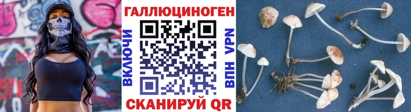 Псилоцибиновые грибы мицелий  Купить  Алзамай 